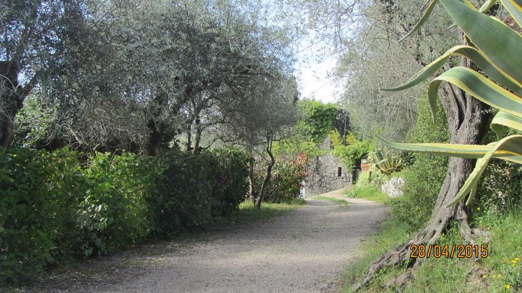 villa des oliviers Le Tignet Extérieur photo